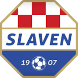 Logo: Slaven Belupo