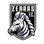 Icon: Zebras FC