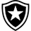 Icon: Botafogo U20