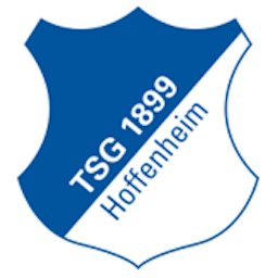 Logo: Hoffenheim II